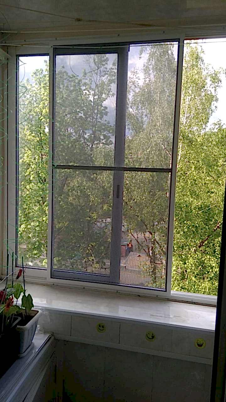 WhatsApp Image 2020-05-23 at 16.23.50