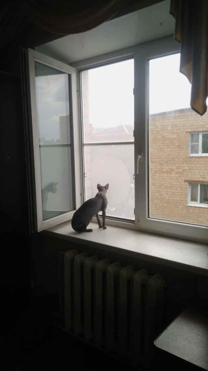 WhatsApp Image 2020-07-02 at 17.58.38
